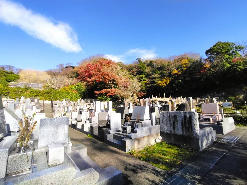 墓じまいとは？手続きの流れ・費用・トラブル防止のポイントまで徹底解説