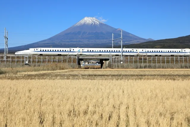 なぜ「お墓に行けない人」が増えているのか?