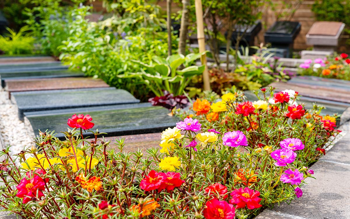 根岸庭苑 色とりどりのお花