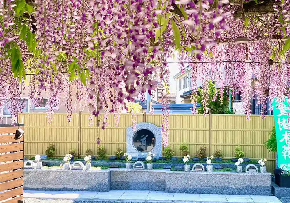 甲府昭和ふじの花樹木葬 正面藤ic