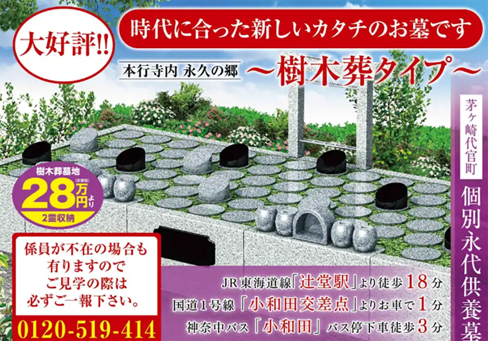 茅ヶ崎代官町 樹木葬 イメージ
