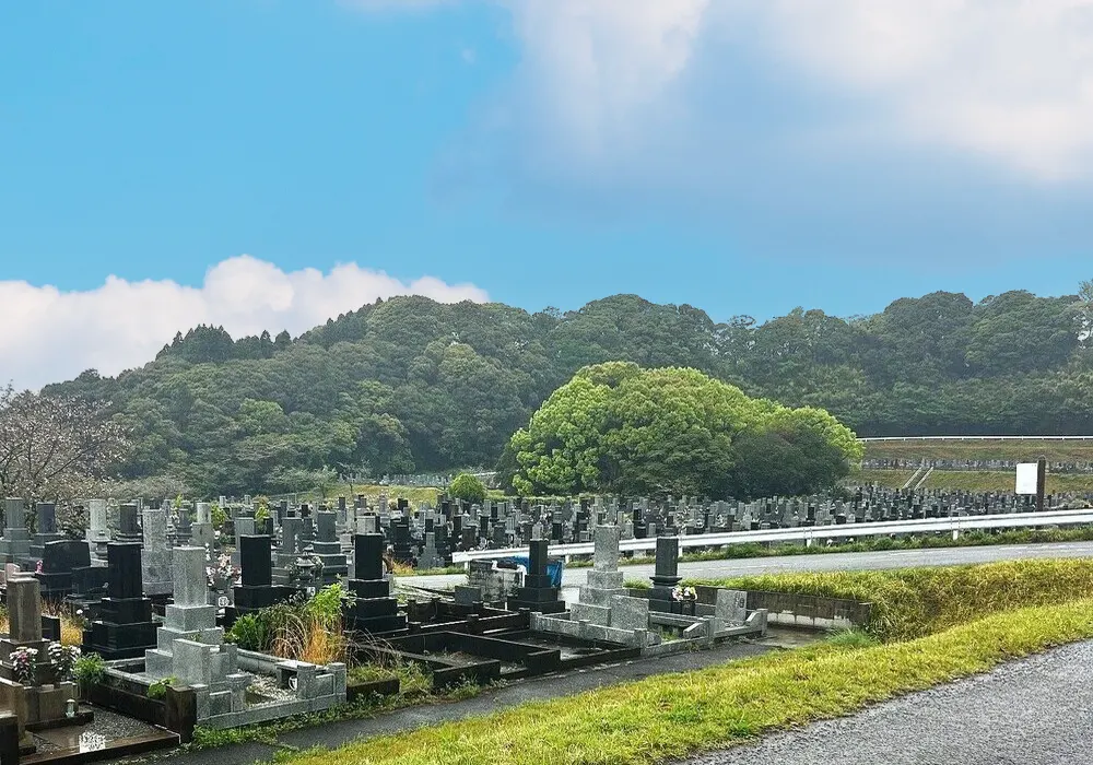 宮崎市営 宮崎みたま園 一般道から野眺め