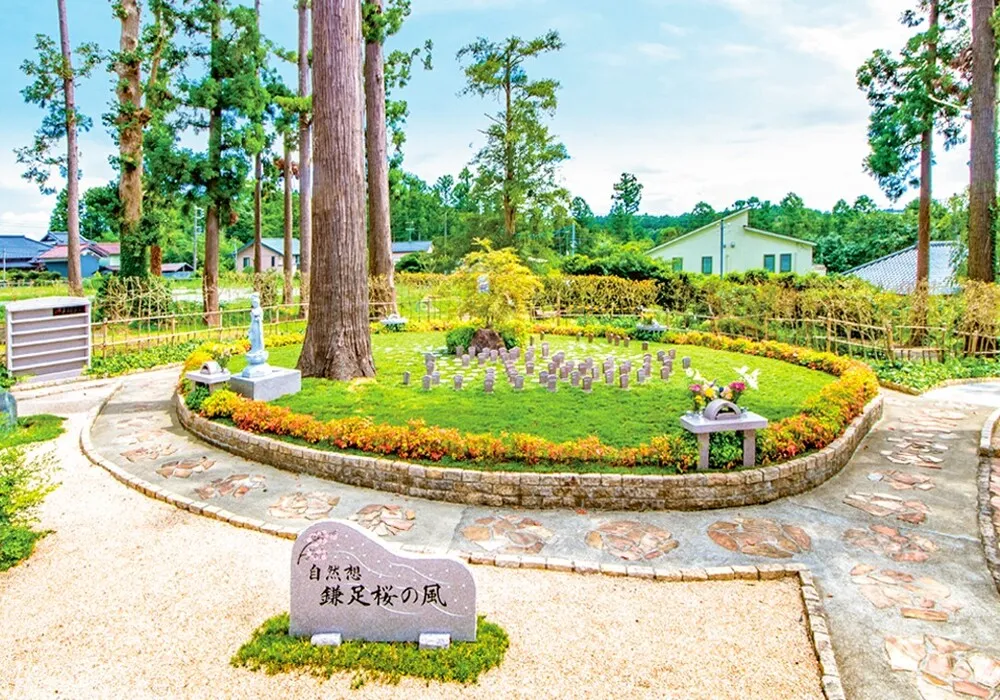 高倉観音 高蔵寺(千葉県木更津) 永代供養付樹木葬（自然葬墓地）「鎌足桜の風」